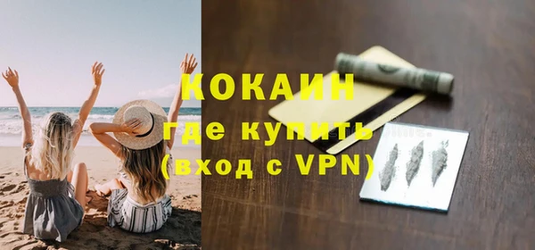 мет Алексин