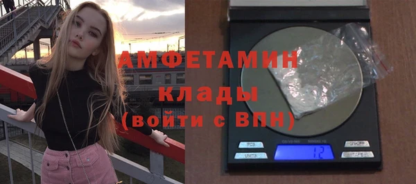 мет Алексин