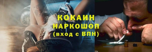 мет Алексин