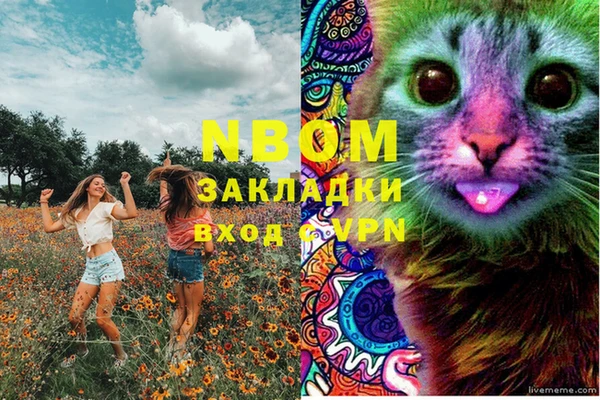 хмурый Алексеевка