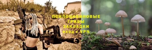 хмурый Алексеевка
