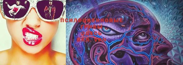 хмурый Алексеевка