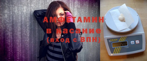 мет Алексин