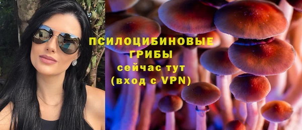 мет Алексин