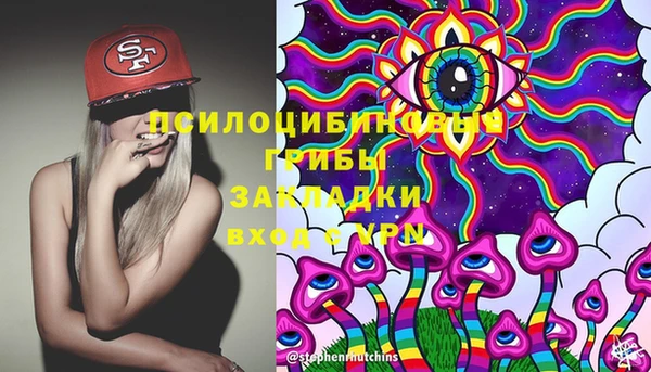 хмурый Алексеевка