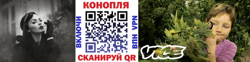это Telegram  Шумиха  Шишки марихуана Ganja  где найти  